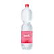 1,5L Well mineraalwater PET met statiegeld - bruis