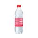0,5L Well mineraalwater PET met statiegeld - Bruis