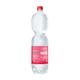 1,5L Well mineraalwater PET met statiegeld - bruis