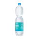 1,5L Well mineraalwater PET met statiegeld - plat