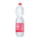 1,5L Well mineraalwater PET met statiegeld - bruis