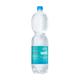 1,5L Well mineraalwater PET met statiegeld - plat