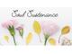 Raja Yoga Meditatie - Alkmaar Huiswaard