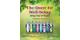 The Quest for well-being using your 8 powers - Anthony Strano