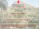Insight and inner peace - Open meditatie live Amsterdam