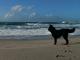Zon, zee, strand ...