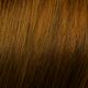 6.3 - Donkerblond goud