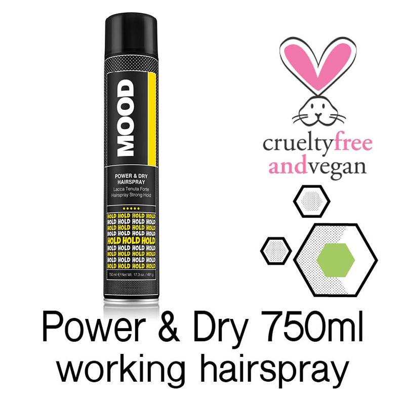 Power & Dry Hairspray 750ml