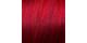 6.50 - Donkerblond extra rood