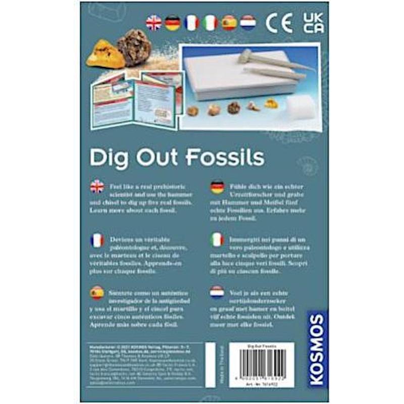 Experimenteerset Dig Out Fossils
