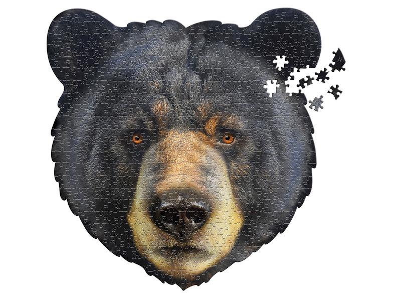 I AM - Bear (merk Madd Cap), 550st, 10+
