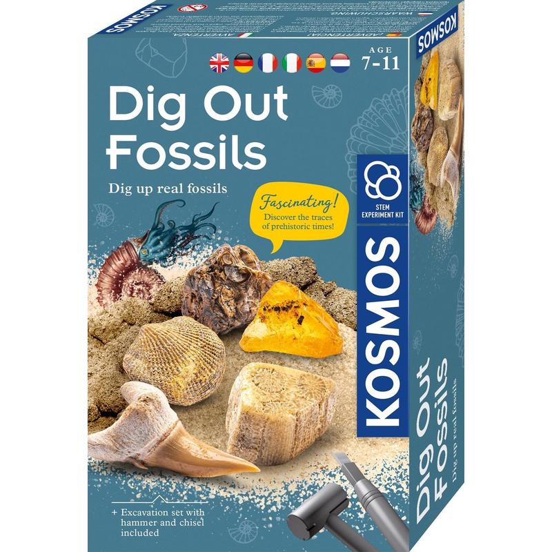 Experimenteerset Dig Out Fossils