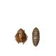 Bugs Peper- en Zoutstrooier