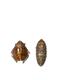 Bugs Peper- en Zoutstrooier