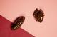 Bugs Peper- en Zoutstrooier