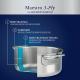 Maestro 3PLY RVS Kookpot Peter Goossens