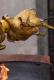 Rotisserie set