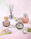 Corali Lampe Giftset
