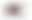 La Fabuleuse Veelzijdige Pan
