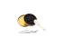 Luxury Line The Exclusive Geschenkset