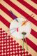 Yaki Chopstick Set (Set van 4)