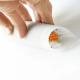 Sushi Rolmat