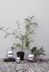 Soft Spot Solar Circular Lamp