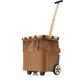 Carrycruiser