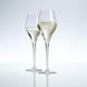 Finesse Champagneglazen (Set van 6)