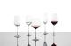 Fortissimo Wijnglazen (Set van 4)