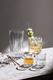 Stage Schnapsglas (Set van 4)