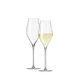 Notes Mondgeblazen Champagneglazen (Set van 2)