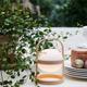 Soft Spot Solar Circular Lamp