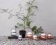 Soft Spot Solar Circular Lamp