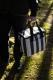 City Stripe Koeltas
