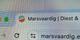 Close-up van een webbrowser-adresbalk met de tekst "Marsvaardig | Diest &" en een bijbehorend favicon