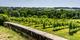 Wijngaarden wandeling Noorbeek