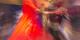 Blur effect Blur effect voorbeeld