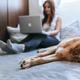 De beste videobewerkings tool voor beginners