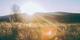 Lens flare Lens flare effect