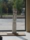 Philippe Desomberg sculpture