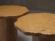 Pair of pedestal side tables