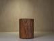 Hollowed tree trunk planter