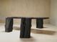 Japanese Shou Sugi Ban burned set