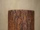 Hollowed tree trunk planter