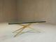 Coffee Table by Enrico Pandolfini
