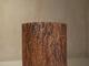 Hollowed tree trunk planter
