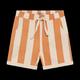 Short Big Stripe