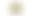 Beach Palms | Hemd Loose