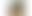 Beach Palms | Hemd Loose